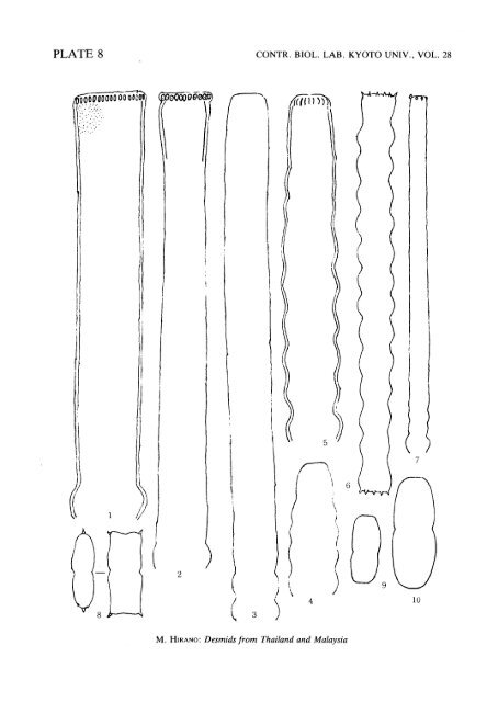 Desmids from Thailand and Malaysia