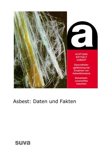 Fasern/ml - Asbest - www.asbest-search.ch