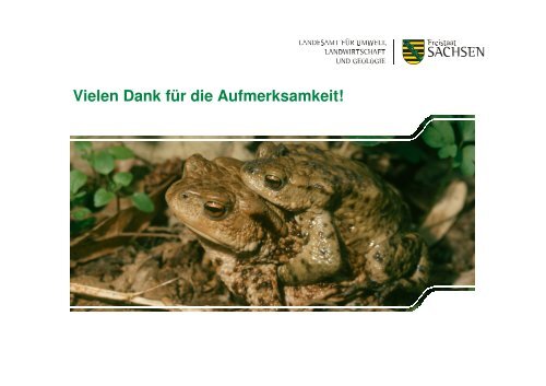 Die Erdkröte - Lurch des Jahres 2012 - (NABU) Landesverband ...