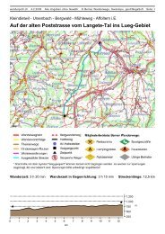 Auf der alten Poststrasse vom Langete-Tal ins Lueg-Gebiet