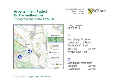 Zwischenbericht zum Amphibien-Präsenzmonitoring in Sachsen