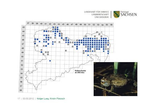 Zwischenbericht zum Amphibien-Präsenzmonitoring in Sachsen