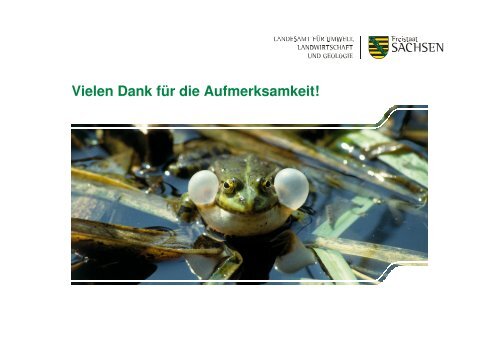 Zwischenbericht zum Amphibien-Präsenzmonitoring in Sachsen