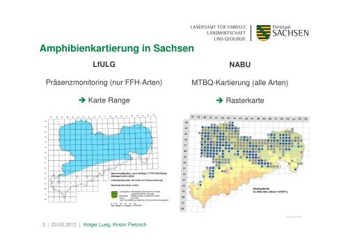 Zwischenbericht zum Amphibien-Präsenzmonitoring in Sachsen