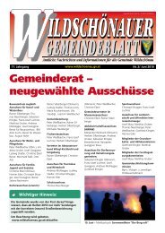 (2,51 MB) - .PDF - Gemeinde Wildschönau - Land Tirol