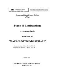 Scarica documento in formato .pdf - Comune di Castelfranco di Sotto