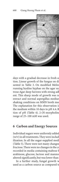 plant surface microbiology.pdf