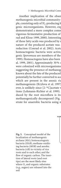 plant surface microbiology.pdf