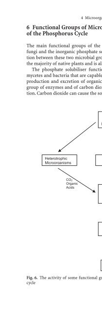 plant surface microbiology.pdf