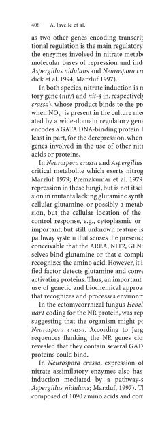 plant surface microbiology.pdf