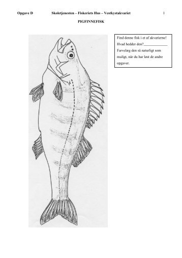 Pigfinnefisk - Fiskeriets Hus