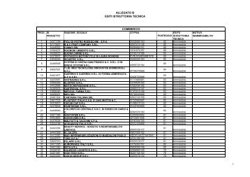 allegato b esiti istruttoria tecnica commercio - Fai il pieno di cultura