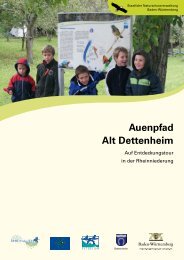 Auenpfad Alt Dettenheim - Naturschutz