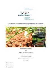 Aquaponic zur Selbstversorgung mit Fisch und Gemüse