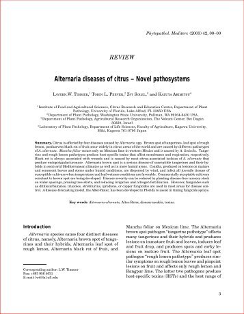 Alternaria diseases of citrus - Citrus Research and Education Center ...