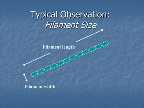 Identification and Control of Filamentous Bacteria