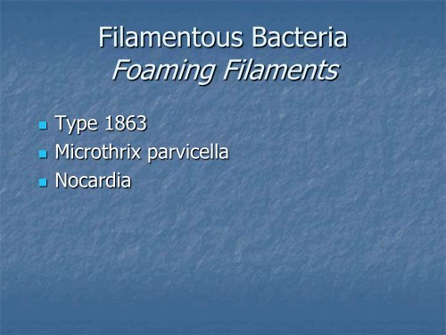 Identification and Control of Filamentous Bacteria