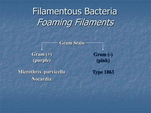 Identification and Control of Filamentous Bacteria