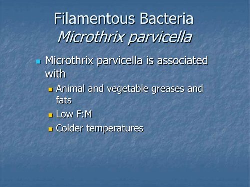 Identification and Control of Filamentous Bacteria