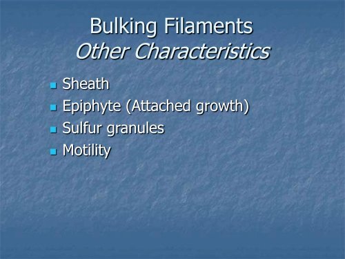 Identification and Control of Filamentous Bacteria