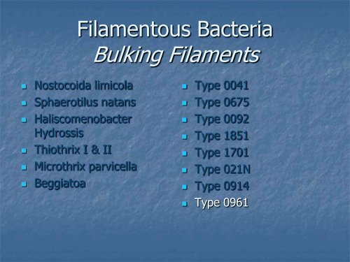 Identification and Control of Filamentous Bacteria