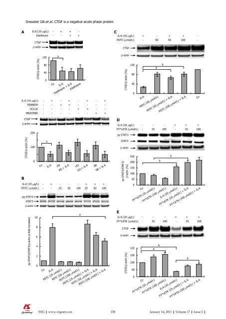 Connective tissue growth factor reacts as an IL - World Journal of ...