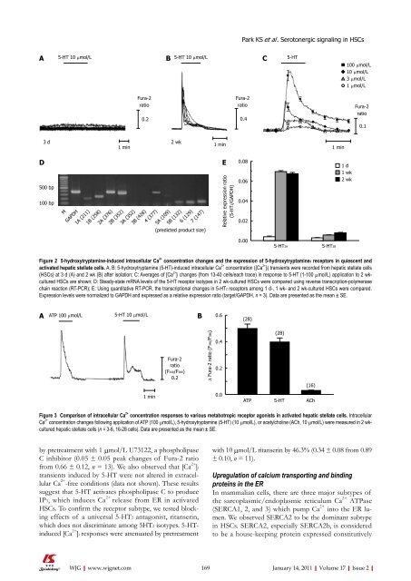 Connective tissue growth factor reacts as an IL - World Journal of ...