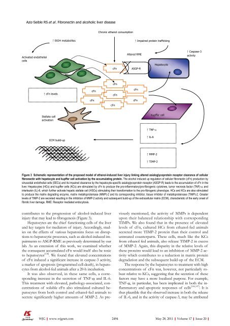 20 - World Journal of Gastroenterology