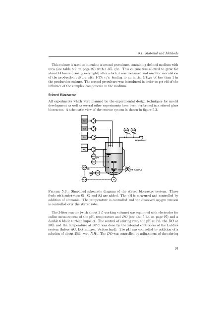 Corynebacterium glutamicum - JUWEL - Forschungszentrum Jülich