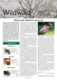 November und Dezember 2011 - Wildwald Vosswinkel