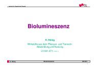 Biolumineszenz - Institut