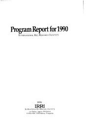 Program Report 1990 - International Rice Research Institute