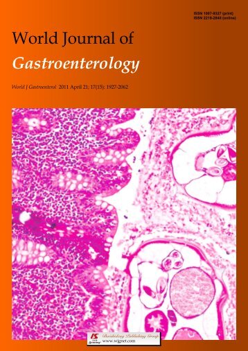 Tetracycline-inducible protein expression in pancreatic cancer cells