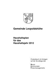 Haushaltsplan für das Haushaltsjahr 2012 der ... - Leopoldshöhe