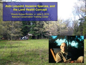 Aldo Leopold's Contributions to Wildlife Management WE 379 ...