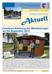 Gemeindezeitung - Herbst 2012 (2,13 MB) - .PDF - Marktgemeinde ...