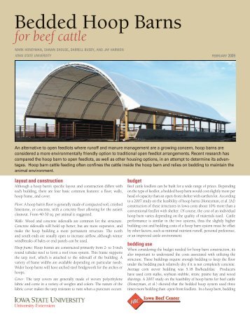 Bedded Hoop Barns for Beef Cattle - Iowa State University