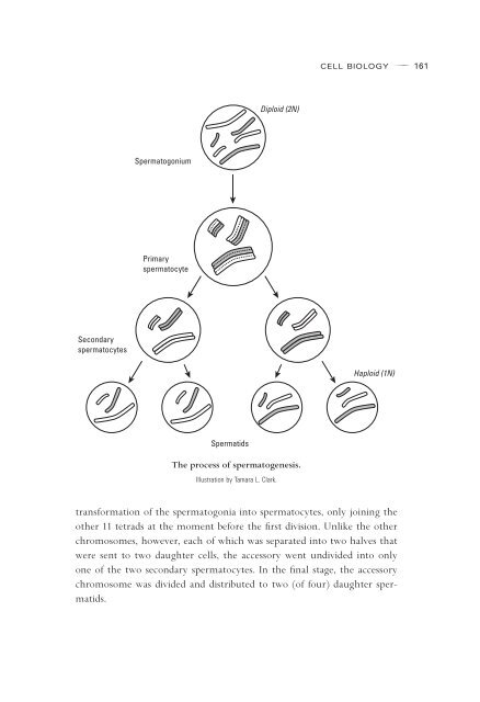 In Pursuit of the Gene