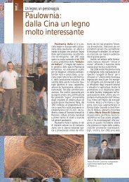 Paulownia: dalla Cina un legno molto interessante - Nautikit