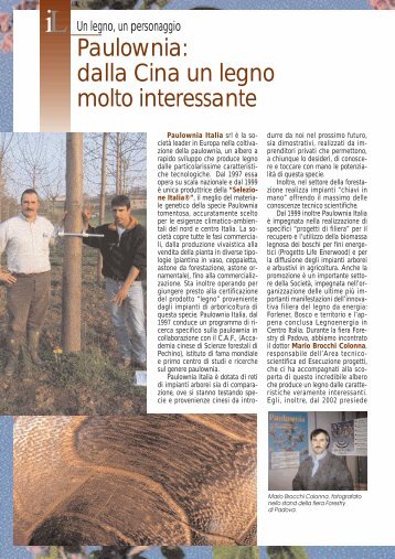 Paulownia: dalla Cina un legno molto interessante - Nautikit