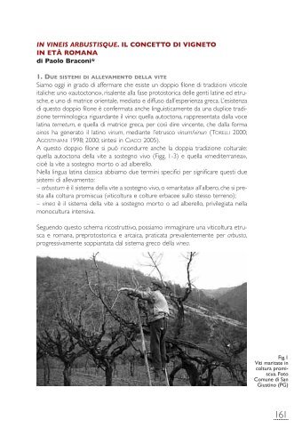 pagine 161-192 - Comune di Scansano