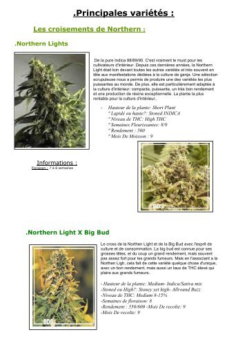 Principales Varietes De Cannabis, Chanvre, Sativa, Indica ... - Free