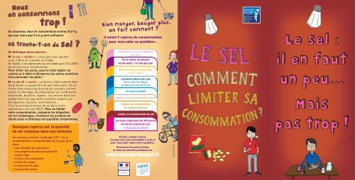 Le sel : comment limiter sa consommation - Inpes