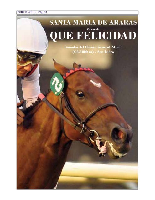 HARAS EL PARAISO - Turf Diario