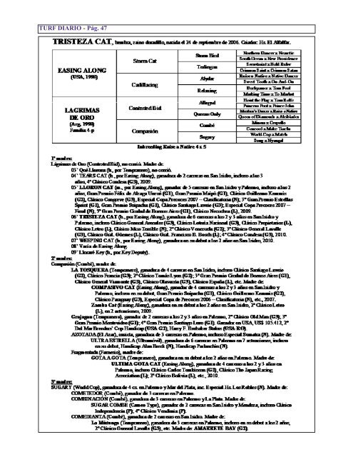 HARAS EL PARAISO - Turf Diario