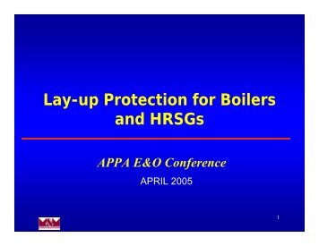 Lay-up Protection for Boilers and HRSGs - American Public Power ...