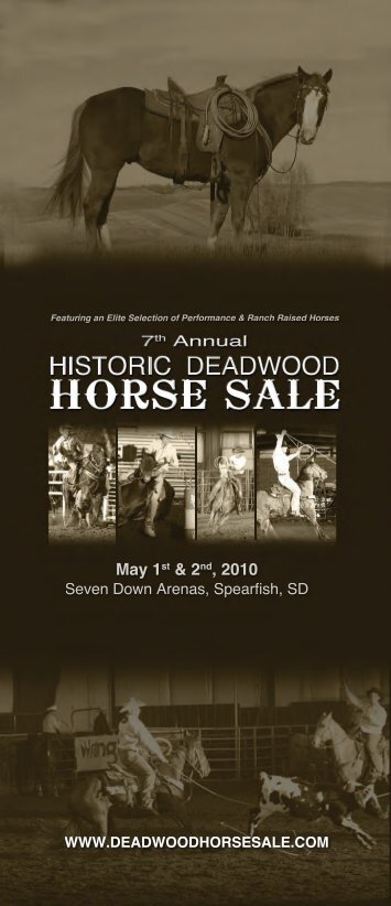 2012 Historic Deadwood Horse Sale Report