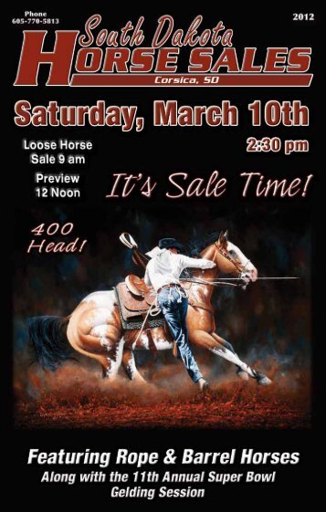 Sale Day Team RoPing - Corsica Horse Sale