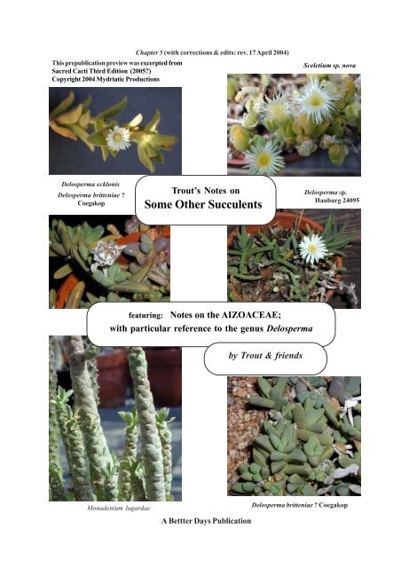 TROUT: "TROUT'S Notes on SOME OTHER SUCCULENTS"