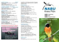 ProgrammFlyer 2008 - nabu - preetz - probstei